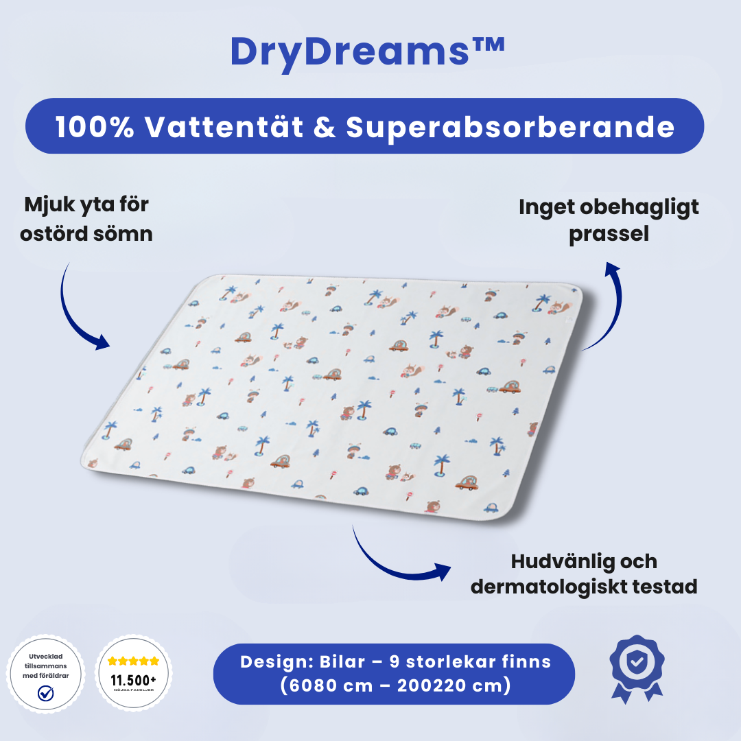 DryDreams™